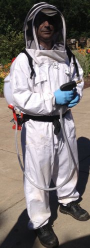 get rid of bees, get rid of wasps, spraying yellow jackets, spraying bees, yellow jackets